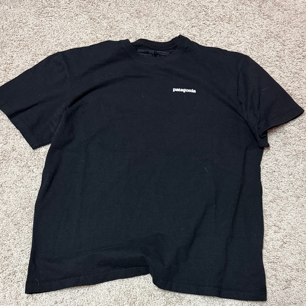 Patagonia Men's Black Short Sleeve Tee